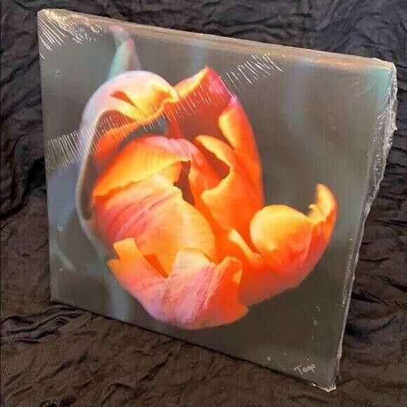 First Flames of Bloom Signed Canvas Print Photograph - Picture 3 of 5